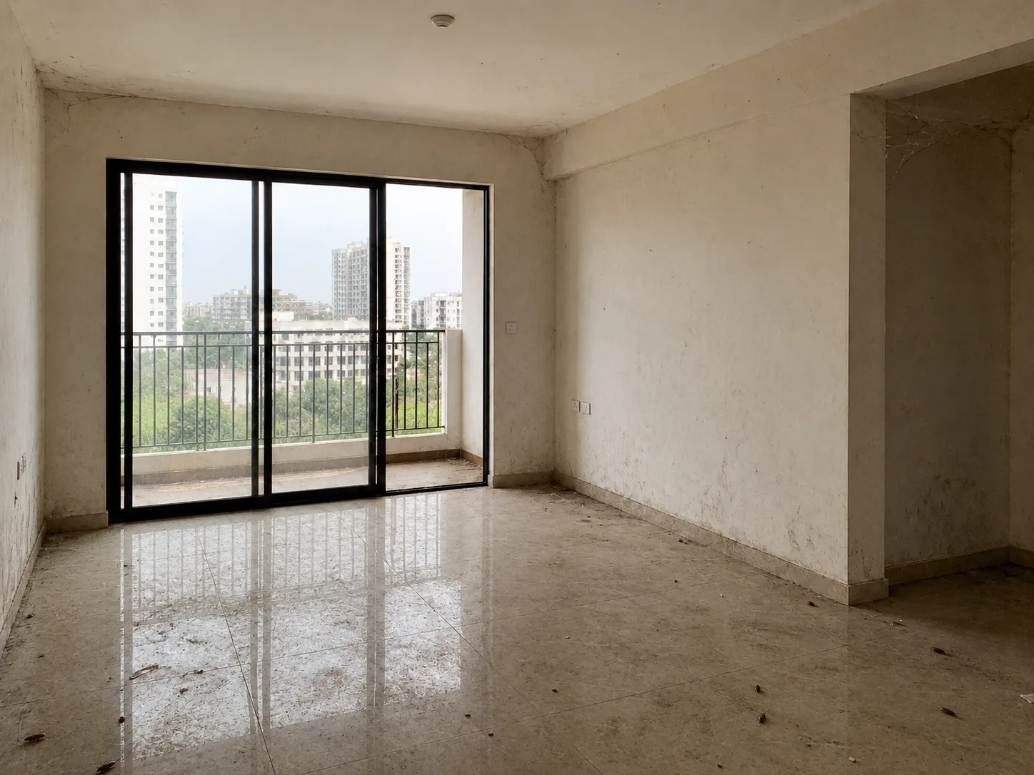 Empty Bangalore apartment living room before deep cleaning, with dusty walls, cobwebs and dead insects on the floor